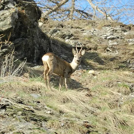 Chalet Monchaletsestriere